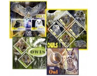 Owls (8)
