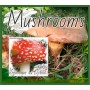 Stamps Mushrooms