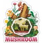 Stamps Mushrooms Set 10 sheets