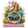 Stamps Mushrooms Set 10 sheets