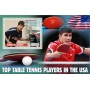 Stamps Sports  Table Tennis  Set 8 sheets