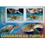 Stamps Fauna Sea Turtles Set 2 sheets