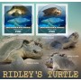 Stamps Fauna Sea Turtles Set 2 sheets