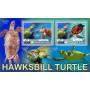 Stamps Fauna Sea Turtles Set 2 sheets