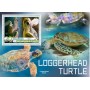 Stamps Fauna Sea Turtles Set 8 sheets