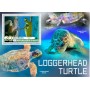 Stamps Fauna Sea Turtles Set 8 sheets