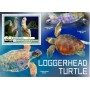 Stamps Fauna Sea Turtles Set 8 sheets