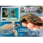 Stamps Fauna Sea Turtles Set 8 sheets