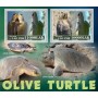 Stamps Fauna Sea Turtles Set 8 sheets