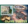 Stamps Fauna Sea Turtles Set 8 sheets