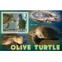 Stamps Fauna Sea Turtles Set 8 sheets