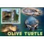 Stamps Fauna Sea Turtles Set 8 sheets