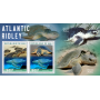 Stamps Fauna Sea Turtles Set 2 sheets