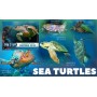 Stamps Fauna Sea Turtles Set 8 sheets