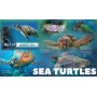 Stamps Fauna Sea Turtles Set 8 sheets