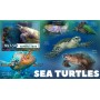 Stamps Fauna Sea Turtles Set 8 sheets