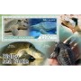 Stamps Fauna Sea Turtles Set 8 sheets