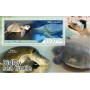 Stamps Fauna Sea Turtles Set 8 sheets