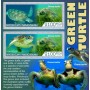 Stamps Fauna Sea Turtles Set 2 sheets