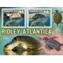 Stamps Fauna Sea Turtles Set 8 sheets