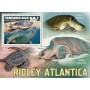 Stamps Fauna Sea Turtles Set 8 sheets