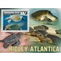 Stamps Fauna Sea Turtles Set 8 sheets