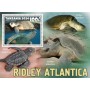 Stamps Fauna Sea Turtles Set 8 sheets