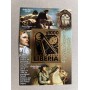 Stamps Napoleon 10 blocks Foil Color. Bronze.