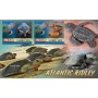 Stamps Fauna Sea Turtles Set 2 sheets