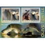 Stamps Fauna Sea Turtles Set 2 sheets
