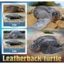 Stamps Fauna Sea Turtles Set 2 sheets