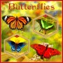 Stamps Butterfly insects Set 8 sheets