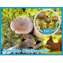 Stamps Inedible Mushrooms Set 8 sheets