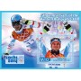 Stamps Olympic Games in Sochi 2014 Biathlon Tobogganing Figure skating Set 8 sheets