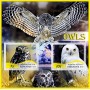 Stamps Birds Owls