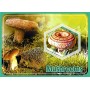 Stamps Mushrooms and animals