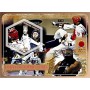 Stamps Summer Olympics in Tokyo 2020 Wresting Boxing Set 8 sheets